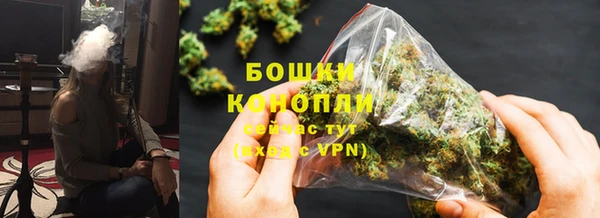 прущие крисы Верея