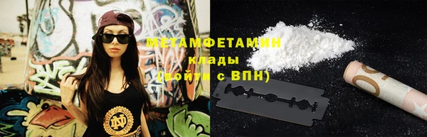 гидра Богородск