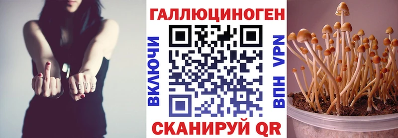 Галлюциногенные грибы Psilocybine cubensis  сколько стоит  Кимры 